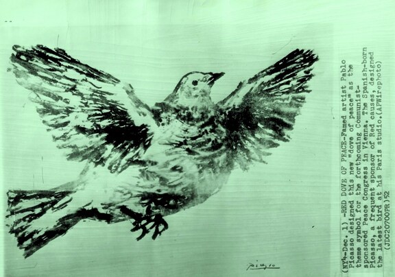 Red dove of peace Red dove of peace