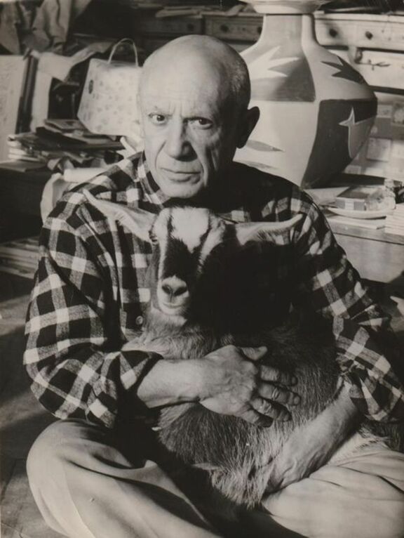 Picasso in d. Villa La Californie - mit Ziege "... Picasso in d. Villa La Californie - mit Ziege "...