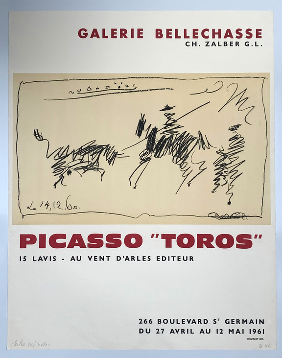 Picasso „Stiere“ 15 Tuschzeichnungen - CZW dtv 47