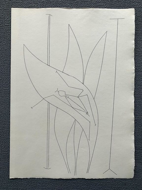 Corps perdu - Leaf and Insect (Tafel, Seite 29)...